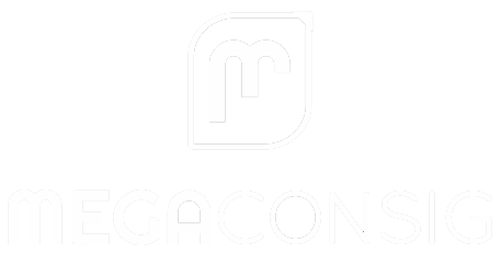 MegaConsig